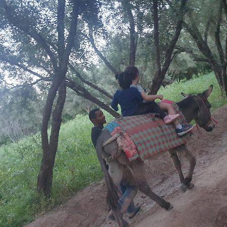 Gite Kasbah La Palmeraie Skoura Luaran gambar