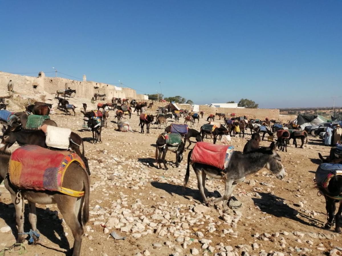 Gite Kasbah La Palmeraie Skoura Luaran gambar