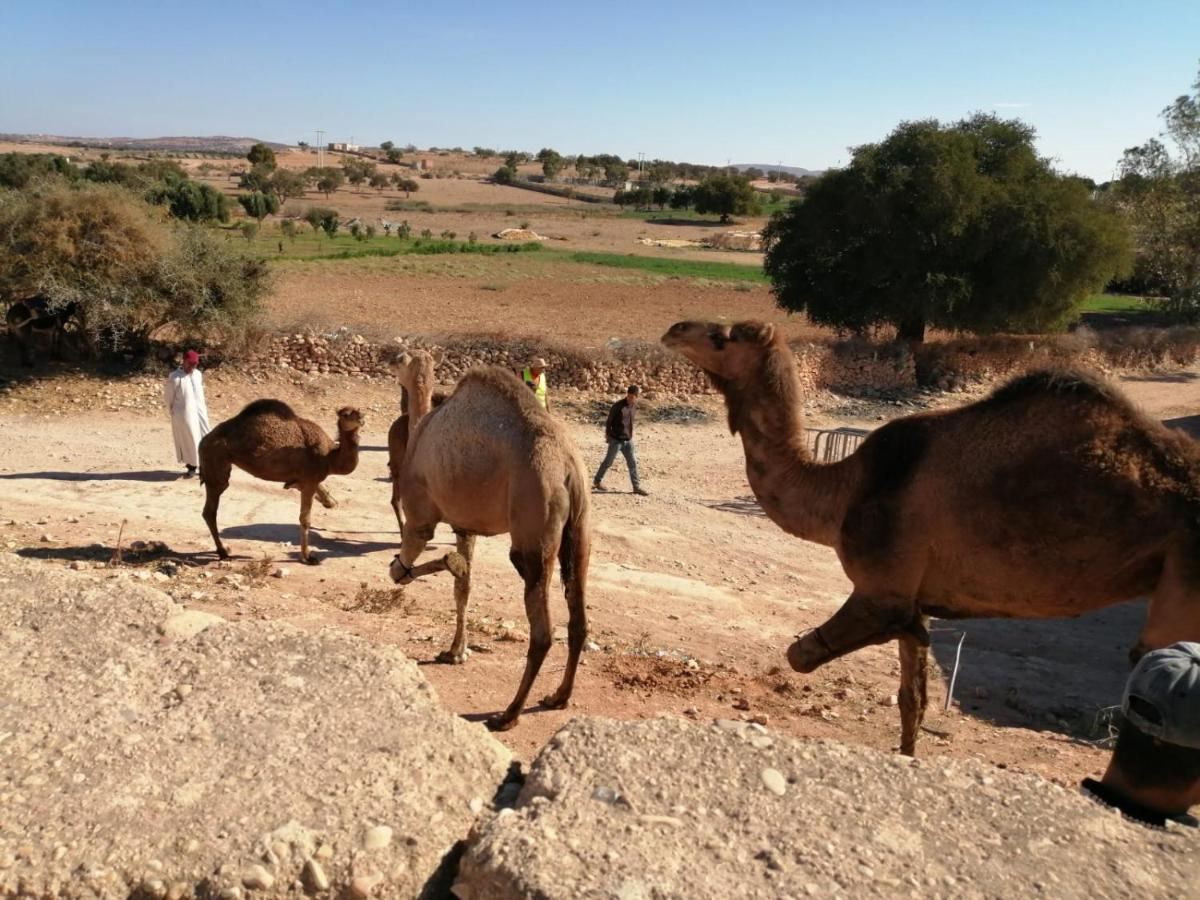 Gite Kasbah La Palmeraie Skoura Luaran gambar
