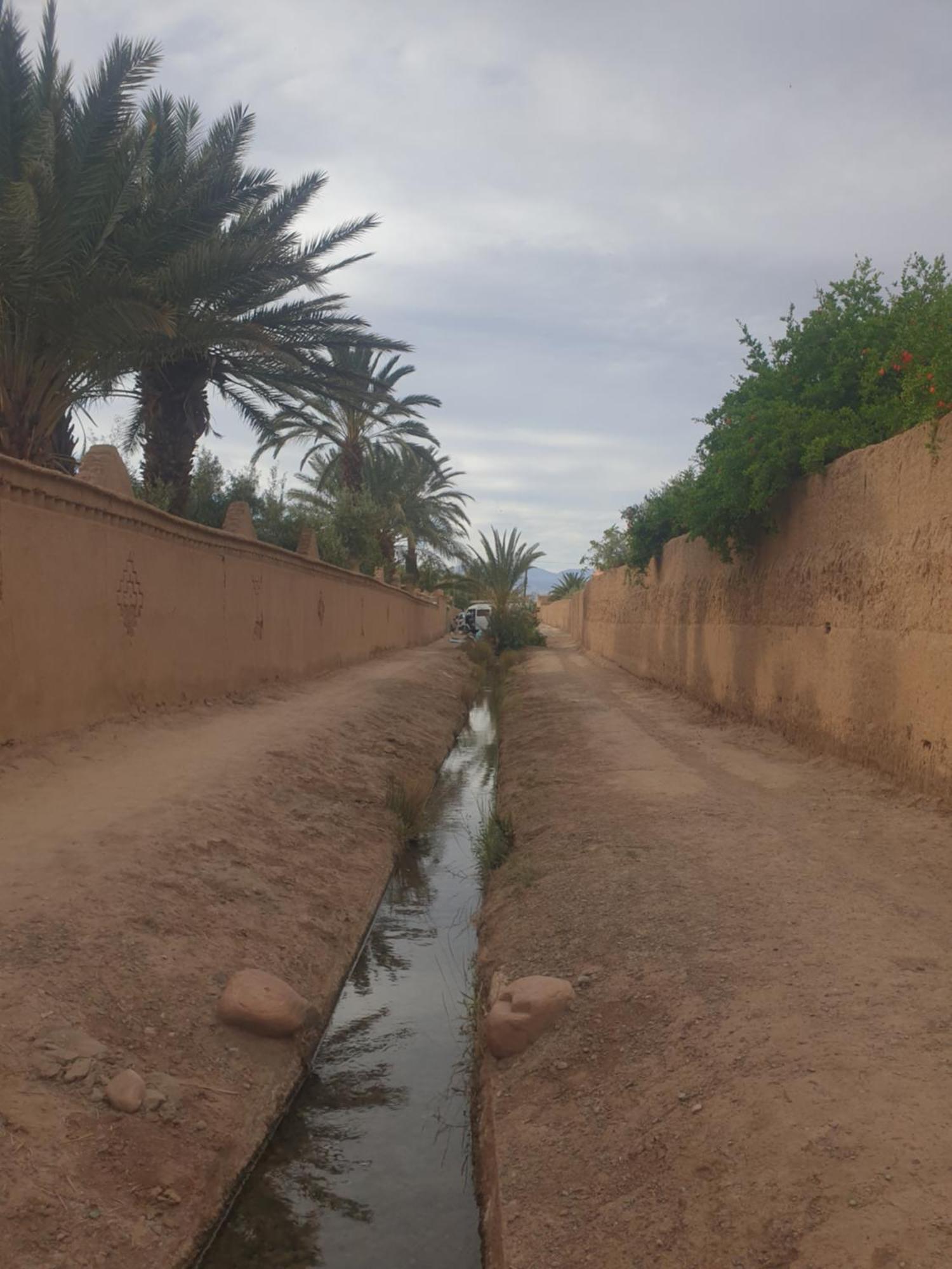 Gite Kasbah La Palmeraie Skoura Luaran gambar
