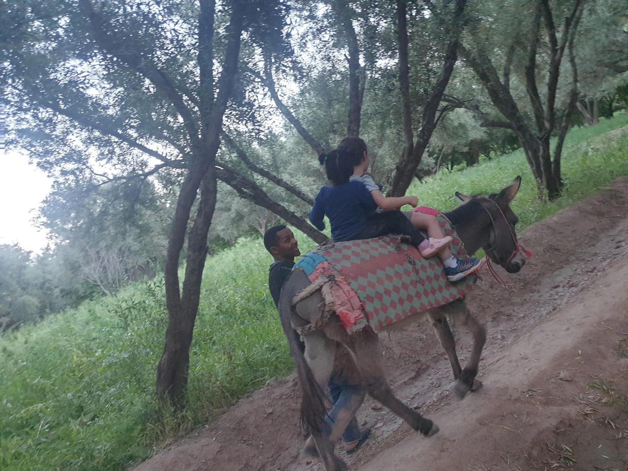 Gite Kasbah La Palmeraie Skoura Luaran gambar