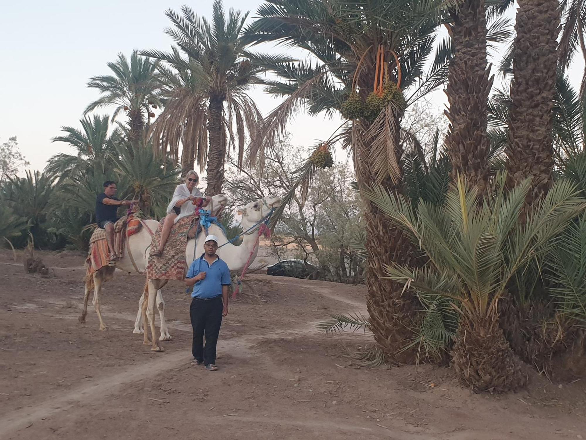 Gite Kasbah La Palmeraie Skoura Luaran gambar