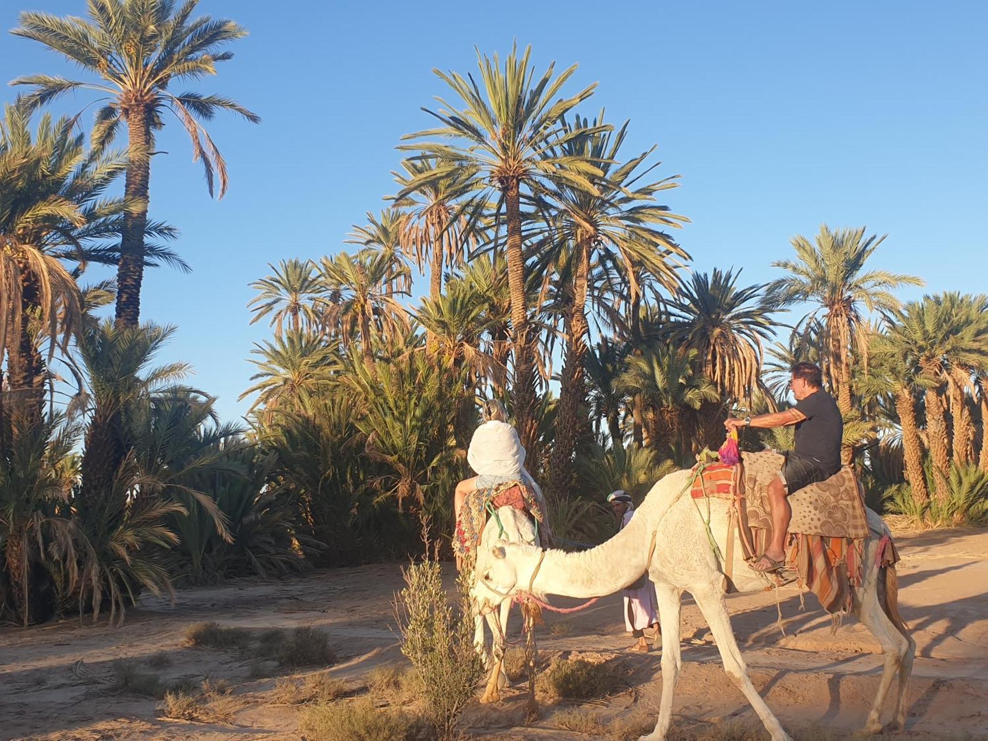 Gite Kasbah La Palmeraie Skoura Luaran gambar