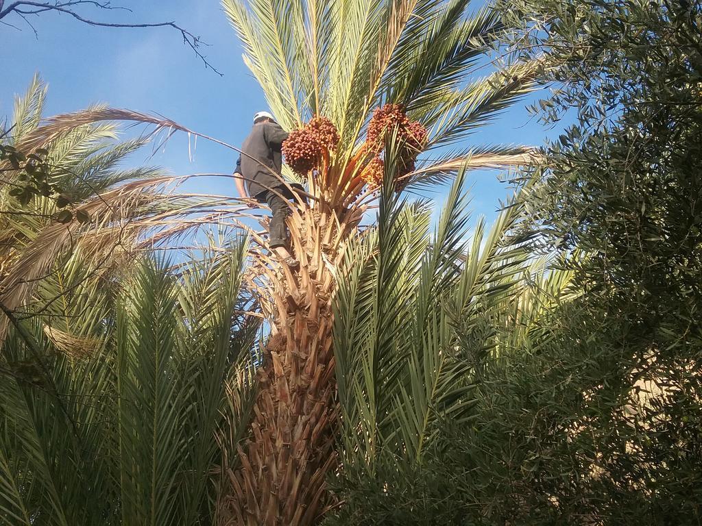 Gite Kasbah La Palmeraie Skoura Luaran gambar