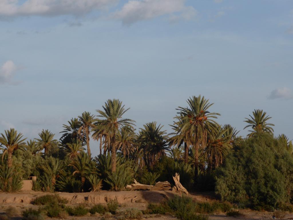 Gite Kasbah La Palmeraie Skoura Luaran gambar