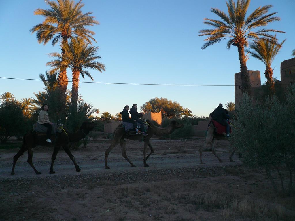 Gite Kasbah La Palmeraie Skoura Luaran gambar